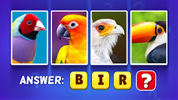 Pics Word Game